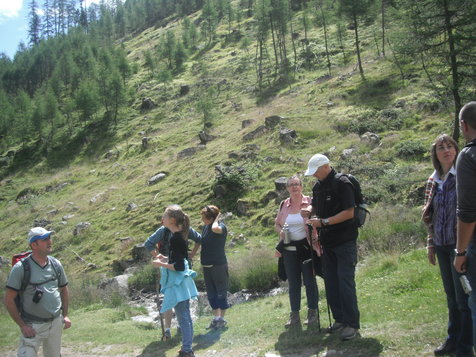 Vorschau