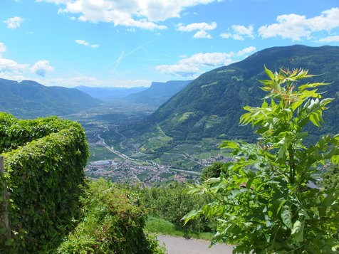 Vorschau