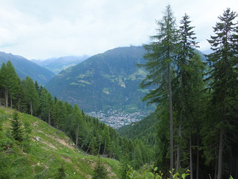 Vorschau