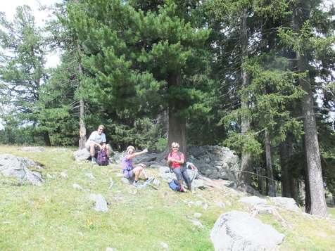 Vorschau