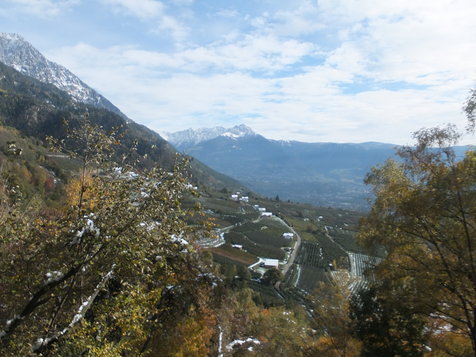 Vorschau