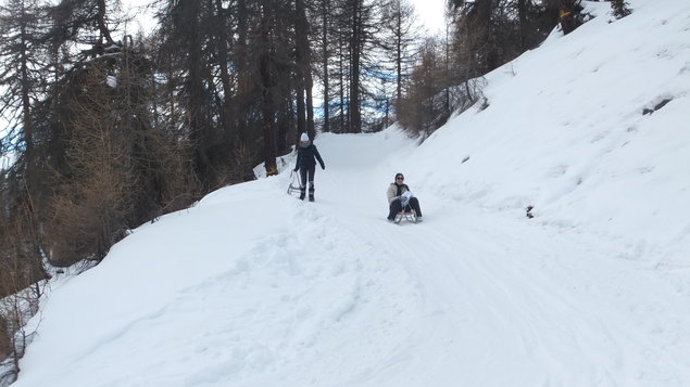 Vorschau