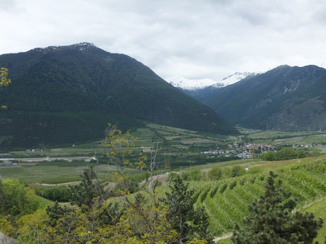 Vorschau