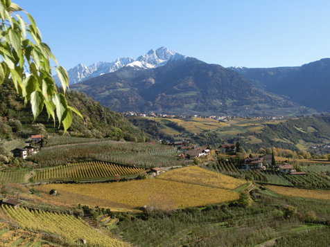 Vorschau