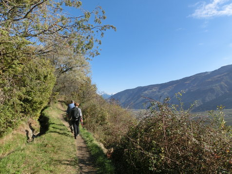 Vorschau