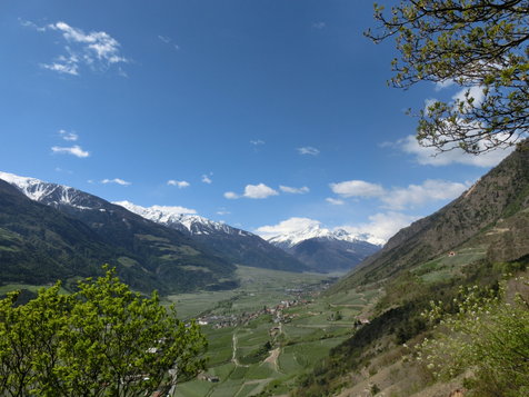Vorschau