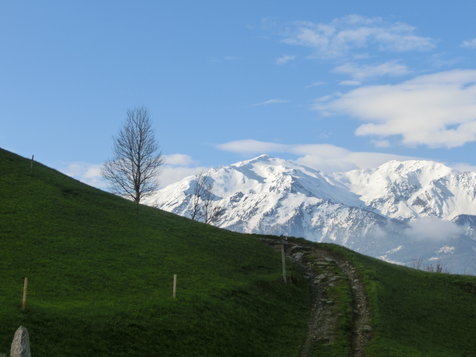 Vorschau