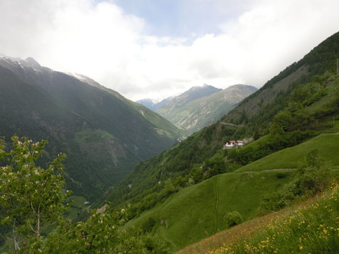 Vorschau