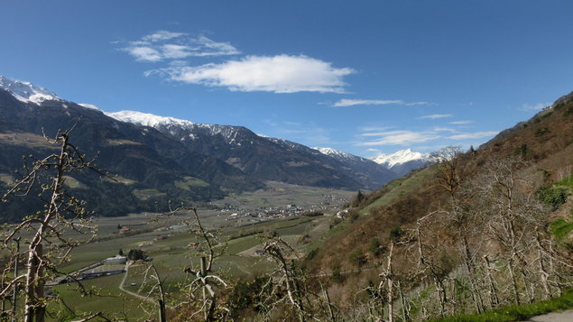 Vorschau
