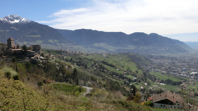 Vorschau