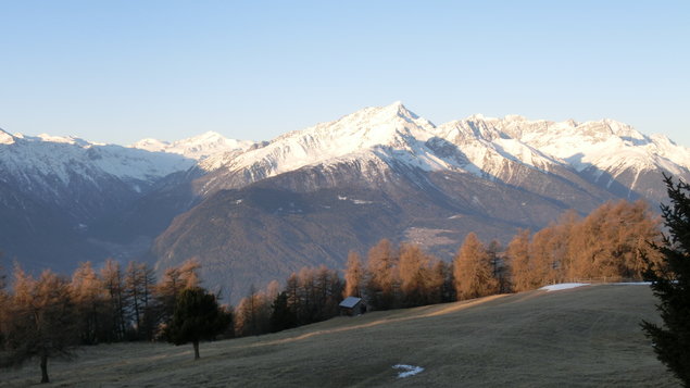 Vorschau