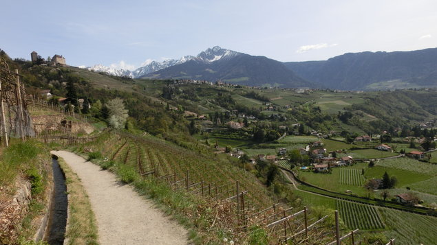 Vorschau