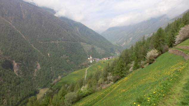 Vorschau