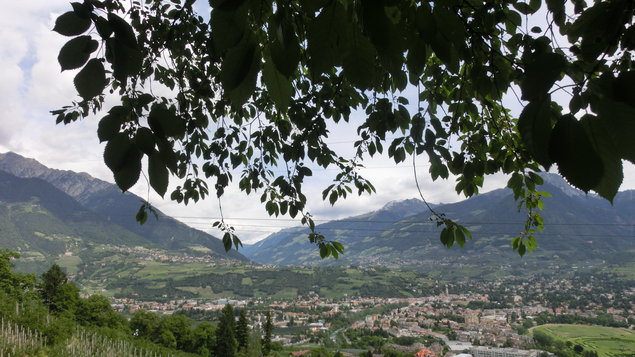 Vorschau