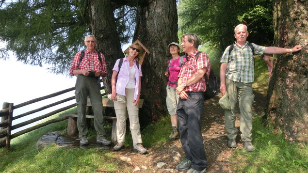 Vorschau