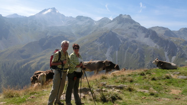 Vorschau