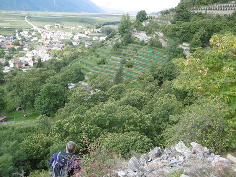 Vorschau