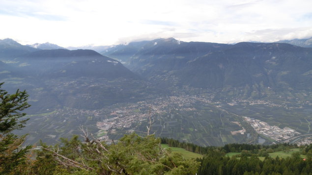 Vorschau