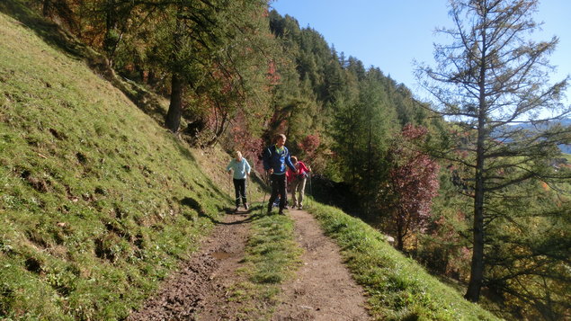 Vorschau