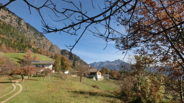 Vorschau