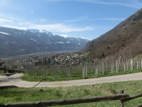Vorschau