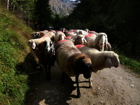 Vorschau