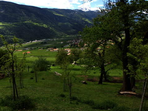 Vorschau