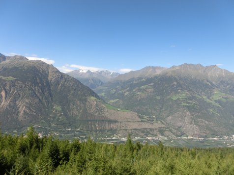 Vorschau