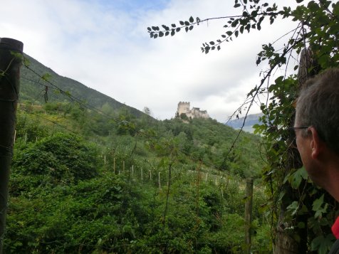 Vorschau
