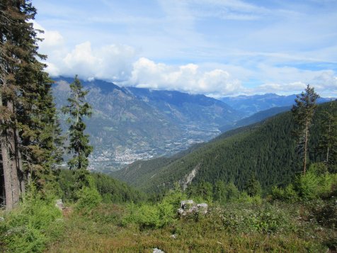 Vorschau