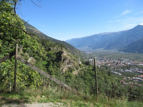 Vorschau