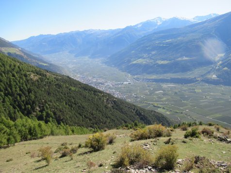 Vorschau