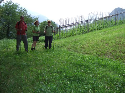 Vorschau