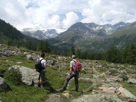 Vorschau